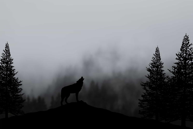 Historical context, Pagan folklore, Hunting spreads across Europe, Famous werewolves, The Werewolves of Poligny, The Werewolf of Chalons, Thiess of Kaltenbrun, The Werewolf of Caud, The Wolf of Ansbach, The Werewolf of Allariz, Hans the Werewolf, Jean Grenier, Swiatek the Beggar, The Werewolf of Pavia, The most ruthless judge, Clinical lycanthropy