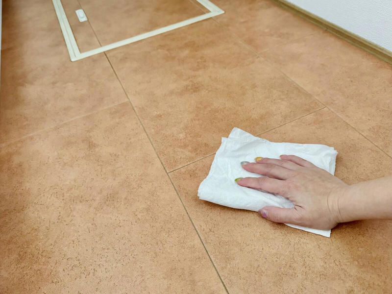 洗剤いらずの「お湯だけ」ふき掃除, 毎日の「ついで掃除」がキレイの秘訣！, ジメジメ時期の害虫対策にも効果的, お湯で落ちない汚れには「アルカリ電解水」が効果大