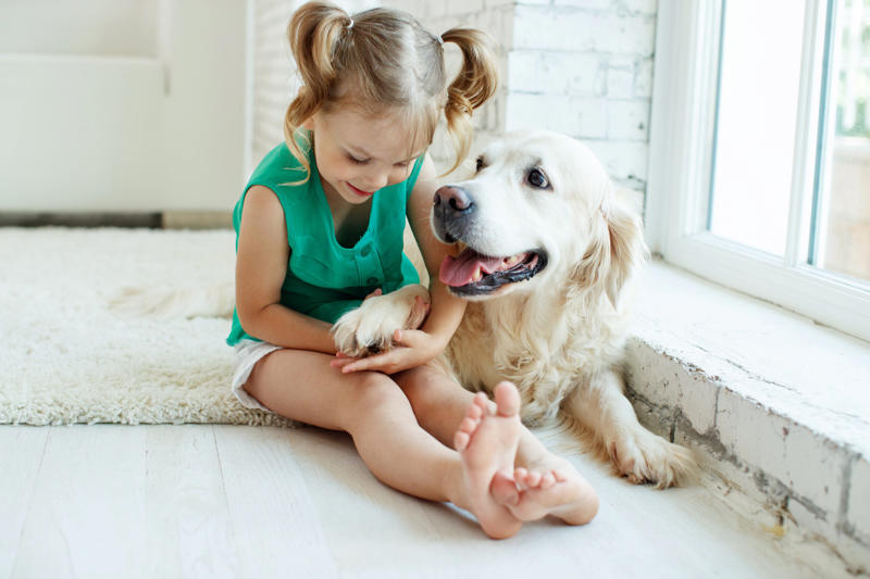 You let your dog walk you, You ignore ringworm, You skip flea medicine, You keep the food bowl full, You give them too little exercise, You don't give your pet enough attention, You don't socialize young pets, You don't set rules, You leave young children unsupervised, You let dogs eat spoiled food, You give up your cat if you fall pregnant, You adopt a pet on a whim, You take your dog for a walk on a hot day