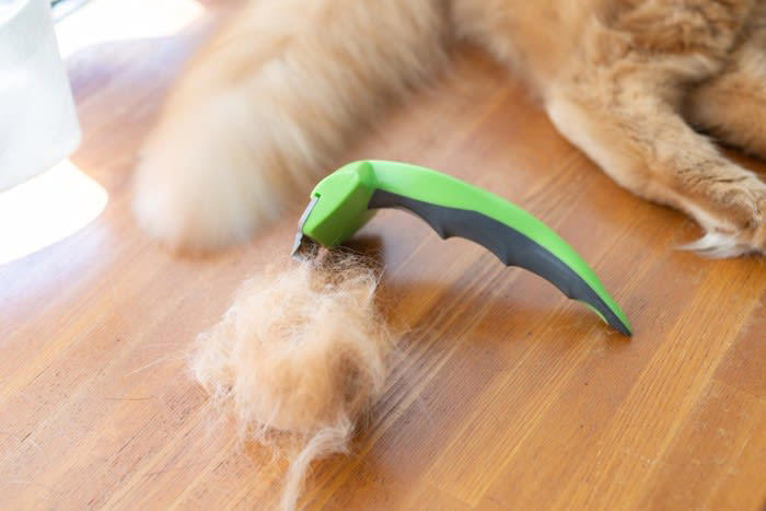 1.毛の長い猫種や皮脂の多い猫種, 2.毛玉の吐き戻しが多い猫, 3.外によく出る猫, 4.薬浴が必要な猫, 5.高齢や病気の猫