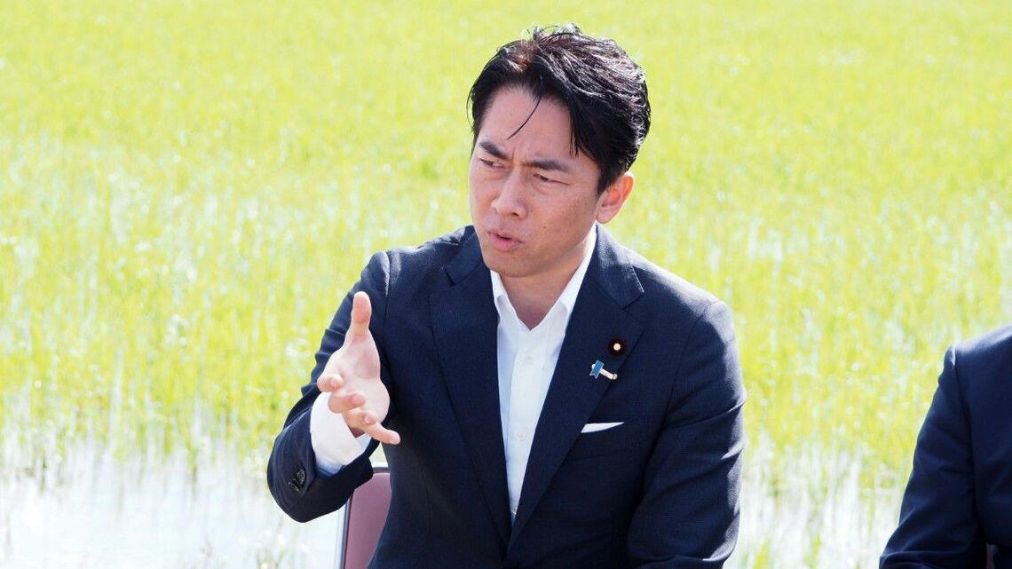 「コメが主食」は本当か, コメに支払う金額は小麦の半分, お金以外の価値がある, ごはん1杯でオタマジャクシ30匹