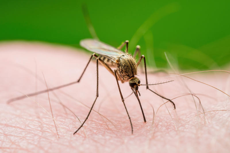 Treat malaria with a magic word Cure rabies with raw veal, Heroin as cough medicine, Cure rabies with ground liverwort and a cold bath, Treat asthma with cigarettes, Cure everything with radium, Treat asthma with boiled carrots, Cure toothaches with electricity, Milk transfusions, Treat malaria with a magic word, Treat colic with "soothing syrup", Treat hay fever with cocaine, Treat chapped hands with sour cream, Use nux vomica for headaches, Cure a hangover by eating pickled sheep's eyes, Cure swollen eyes with the eyes of a crab
