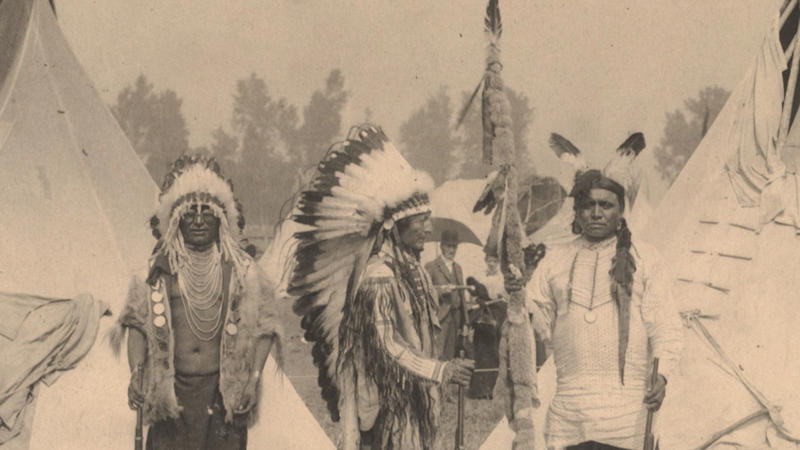 1. Navajo (Diné), 2. Chickasaw, 3. Sioux (Lakota, Dakota, Nakota), 4. Iroquois (Haudenosaunee Confederacy), 5. Apache, 6. Pueblo, 7. Shoshone, 8. Choctaw, 9. Cherokee, 10. Seminole, 11. Blackfeet (Blackfoot), 12. Nez Perce, 13. Hopi, 14. Cree, 15. Wampanoag, 16. Lenape (Delaware), 17. Comanche, 18. Osage, 19. Mohican, 20. Yurok