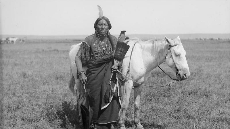 1. Navajo (Diné), 2. Chickasaw, 3. Sioux (Lakota, Dakota, Nakota), 4. Iroquois (Haudenosaunee Confederacy), 5. Apache, 6. Pueblo, 7. Shoshone, 8. Choctaw, 9. Cherokee, 10. Seminole, 11. Blackfeet (Blackfoot), 12. Nez Perce, 13. Hopi, 14. Cree, 15. Wampanoag, 16. Lenape (Delaware), 17. Comanche, 18. Osage, 19. Mohican, 20. Yurok
