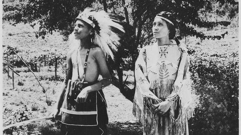 1. Navajo (Diné), 2. Chickasaw, 3. Sioux (Lakota, Dakota, Nakota), 4. Iroquois (Haudenosaunee Confederacy), 5. Apache, 6. Pueblo, 7. Shoshone, 8. Choctaw, 9. Cherokee, 10. Seminole, 11. Blackfeet (Blackfoot), 12. Nez Perce, 13. Hopi, 14. Cree, 15. Wampanoag, 16. Lenape (Delaware), 17. Comanche, 18. Osage, 19. Mohican, 20. Yurok