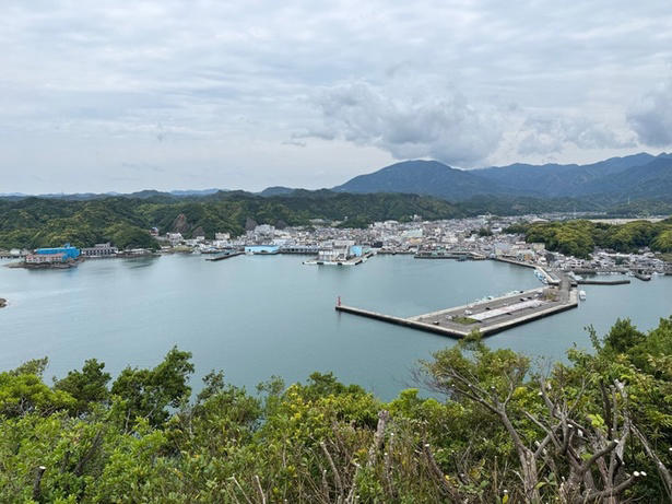 世界遺産、国立公園の雄大な自然に囲まれたホテル, カメに乗って到着したのは、竜宮城ならぬ「ホテル浦島」, 平安貴族も堪能していた!?神秘的な洞窟温泉「忘帰洞」「玄武洞」, 大海原を一望の部屋と、もうひとつの名物・日本一のエレベーター, 海を眺めながら味わう熊野キュイジーヌ, 1日では足りない、のんびりゆっくり滞在したくなる