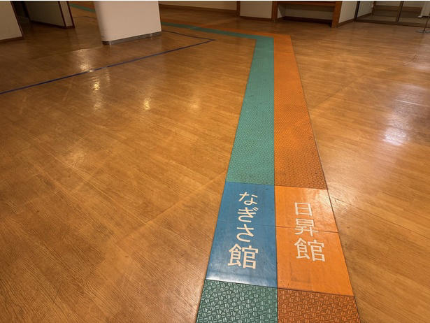 世界遺産、国立公園の雄大な自然に囲まれたホテル, カメに乗って到着したのは、竜宮城ならぬ「ホテル浦島」, 平安貴族も堪能していた!?神秘的な洞窟温泉「忘帰洞」「玄武洞」, 大海原を一望の部屋と、もうひとつの名物・日本一のエレベーター, 海を眺めながら味わう熊野キュイジーヌ, 1日では足りない、のんびりゆっくり滞在したくなる