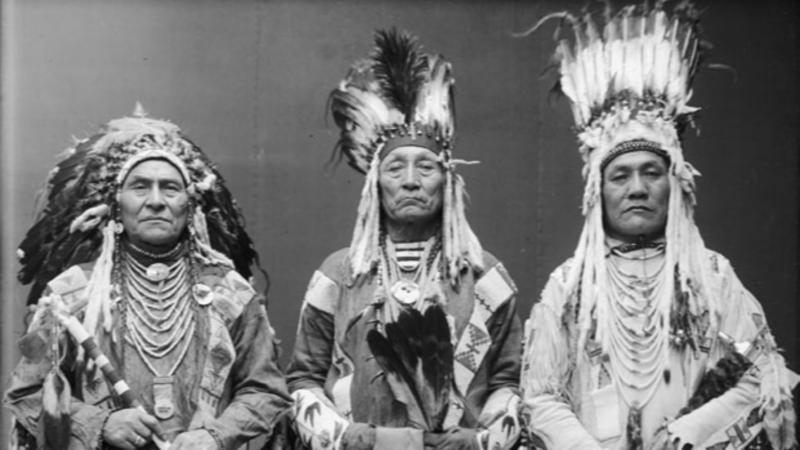 1. Navajo (Diné), 2. Chickasaw, 3. Sioux (Lakota, Dakota, Nakota), 4. Iroquois (Haudenosaunee Confederacy), 5. Apache, 6. Pueblo, 7. Shoshone, 8. Choctaw, 9. Cherokee, 10. Seminole, 11. Blackfeet (Blackfoot), 12. Nez Perce, 13. Hopi, 14. Cree, 15. Wampanoag, 16. Lenape (Delaware), 17. Comanche, 18. Osage, 19. Mohican, 20. Yurok