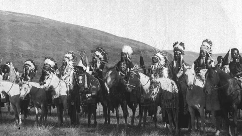 1. Navajo (Diné), 2. Chickasaw, 3. Sioux (Lakota, Dakota, Nakota), 4. Iroquois (Haudenosaunee Confederacy), 5. Apache, 6. Pueblo, 7. Shoshone, 8. Choctaw, 9. Cherokee, 10. Seminole, 11. Blackfeet (Blackfoot), 12. Nez Perce, 13. Hopi, 14. Cree, 15. Wampanoag, 16. Lenape (Delaware), 17. Comanche, 18. Osage, 19. Mohican, 20. Yurok