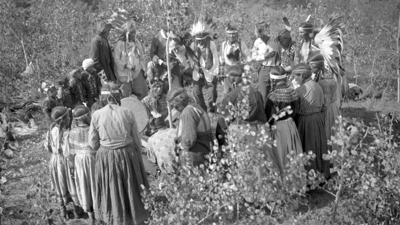 1. Navajo (Diné), 2. Chickasaw, 3. Sioux (Lakota, Dakota, Nakota), 4. Iroquois (Haudenosaunee Confederacy), 5. Apache, 6. Pueblo, 7. Shoshone, 8. Choctaw, 9. Cherokee, 10. Seminole, 11. Blackfeet (Blackfoot), 12. Nez Perce, 13. Hopi, 14. Cree, 15. Wampanoag, 16. Lenape (Delaware), 17. Comanche, 18. Osage, 19. Mohican, 20. Yurok