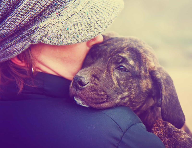 Comforting your dog when he or she whimpers Constantly feeding them with treats, Leaving your dog in a hot vehicle, Waiting to punish your dog, Using strong cleaning chemicals, Dropping the leash and "forcing" an interaction, Feeding your canine from your plate, Lecturing your dog, Choosing not to implant a microchip in your puppy, Comforting your dog when he or she whimpers, Telling your dog to stop barking, Rubbing your dog's nose in their feces or urine, Reinforcing bad behavior, Making leash training a negative experience, Replacing toothbrushing with dental snacks as an alternative for oral hygiene, Skipping daily walks, Not properly vetting your dog sitter, Expect all your pets to get along instantly