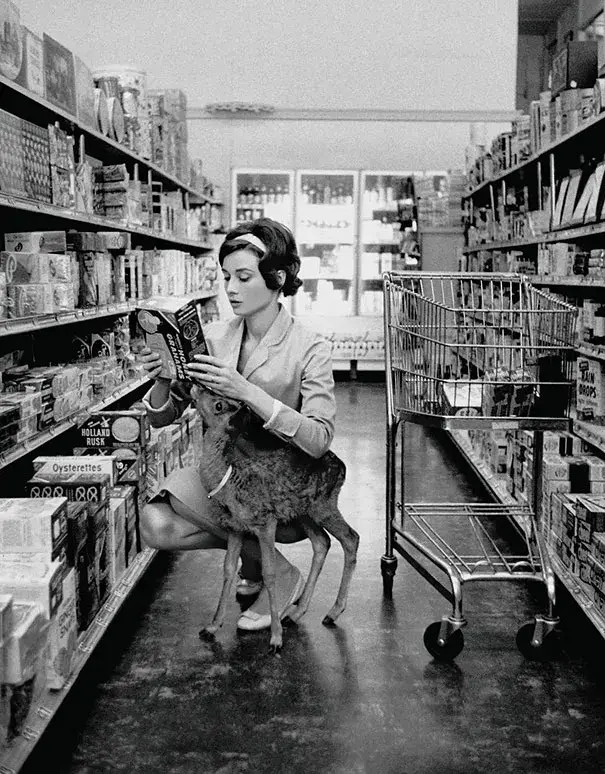 5. Audrey Hepburn Casually Grocery Shopping With Her Pet Deer 1. 22-Year-Old Being Dropped Off for Naval Flight Training in South Texas, 2. NASA Scientists With Their Board of Calculations, 3. Queen Elizabeth II Driving Prince Charles and Princess Anne, 4. Kids on a Movie Date, 5. Audrey Hepburn Casually Grocery Shopping With Her Pet Deer, 6. A Mother With Her First 11 Kids — She Went on to Have Six More, 7. The Runner-Up in a Shirley Temple Look-Alike Contest, 8. Macy’s Thanksgiving Day Parade, 9. Sightseers at Niagara Falls, 10. The First African-American Stewardess in the U.S., Ruth Carol Taylor, 11. Open Air School in the Netherlands, 12. The Original TV Remote, 13. Mingling With Bears at Yellowstone, 14. Roadside Meals While Traveling, 15. Listening to Music at a Record Store, 16. Getting Cooled Air Piped Into the Car While Eating at a Drive-in Restaurant, 17. Selfie: 1957 Style, 18. Teenage Beatles Members Performing as Wedding Singers, 19. Bride and Groom, 20. Danish Zookeeper Watering the Emperor Penguins, 21. A Couple’s First Christmas Together, 22. Daytona Beach, 23. Joe Pesci at 14 Years Old, 24. Woman in One of Nine Stores She Opened, 25. Family Pool Day, 26. Elizabeth Eckford, One of the Nine Black Students Who Integrated Into Little Rock’s Central High School, 27. Oh, You Know, Just a Llama in Times Square, 28. Jayne Mansfield With Miss Hollywood, 29. Illegal Drag Racing in the L.A. River Basin
