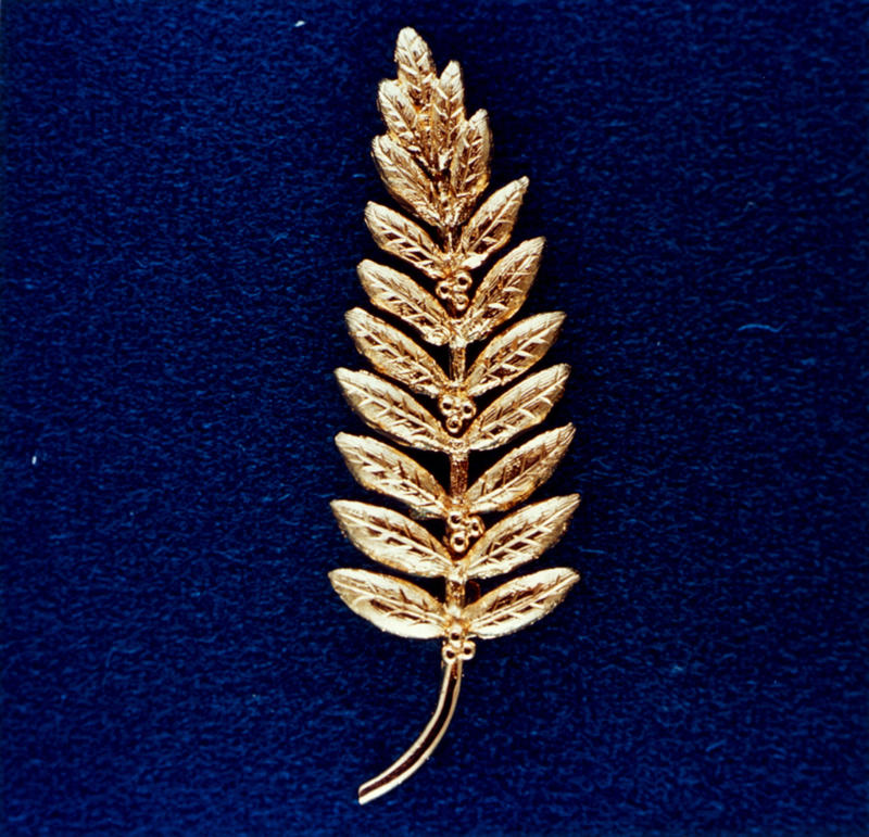 Gold olive branch American flags, Lunar Module descent stages, Scientific instruments, Astronaut boots, TV cameras, Gold olive branch, The Fallen Astronaut memorial, Apollo 14’s golf balls, Apollo 12 plaque, Solar Wind Composition Experiment foils, Descent stage ladders, Soviet lunar landers, Spacecraft, Film gear, Gene Cernan’s daughter’s initials, Lunar portable magnetometer