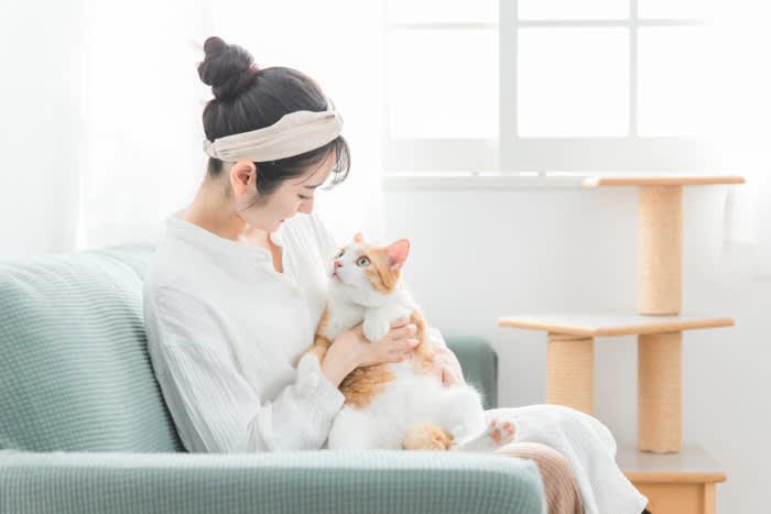 “猫初心者さん”にピッタリな猫種3選, 1.雑種猫キジトラ（オス）, お世話がしやすい, 日中はマイペースに過ごせる, 2.雑種猫茶トラ, 温厚でフレンドリー, お留守番は苦手なほう, 尿路結石に注意を, お世話はキジトラと同様に, 被毛が絡まりにくい, “まるでぬいぐるみ”な猫, 肥満や心臓の病気にご注意を