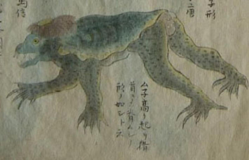 Kappa Sea serpent, Yeti / Bigfoot, Chupacabra, Mermaids, The pouākai