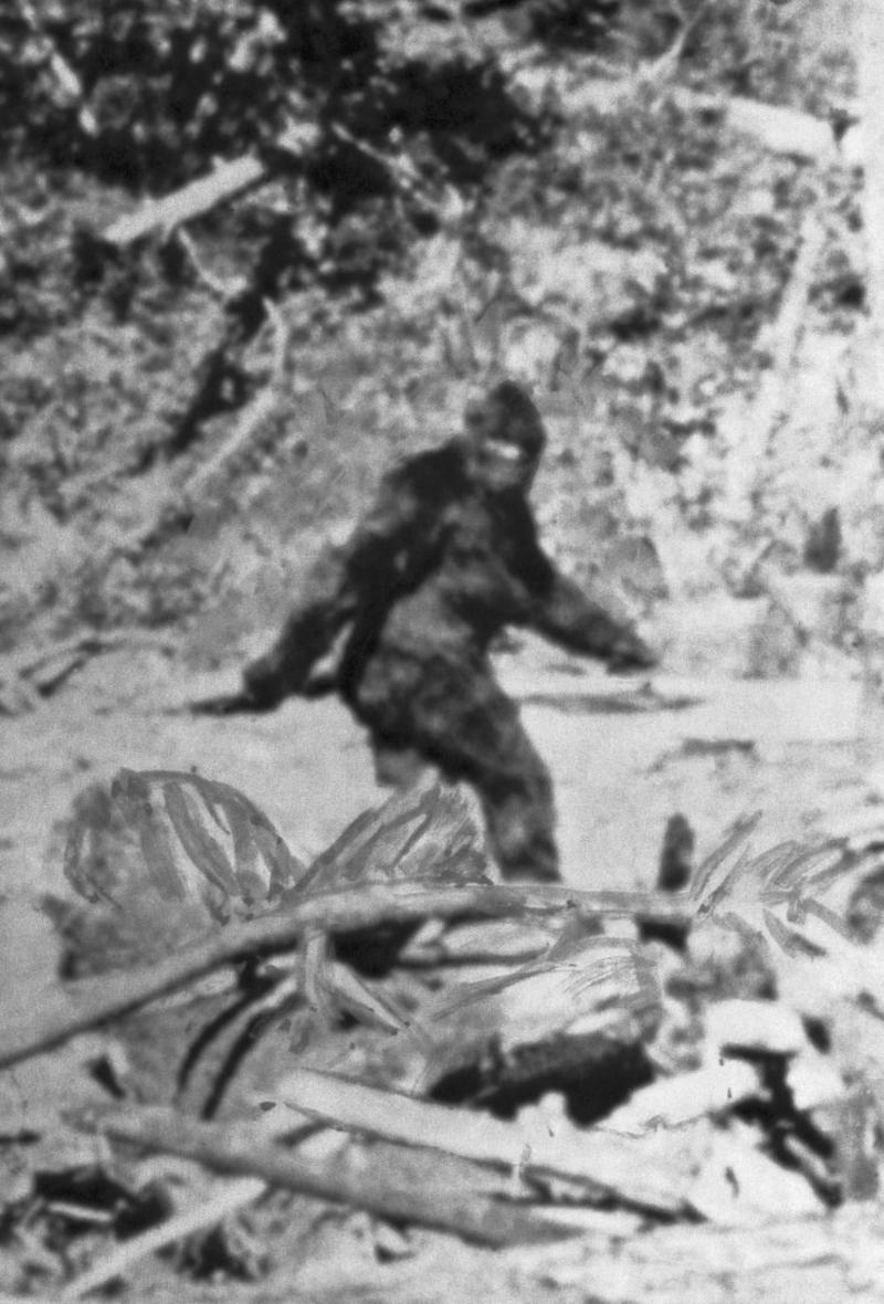 Yeti / Bigfoot Sea serpent, Yeti / Bigfoot, Chupacabra, Mermaids, The pouākai