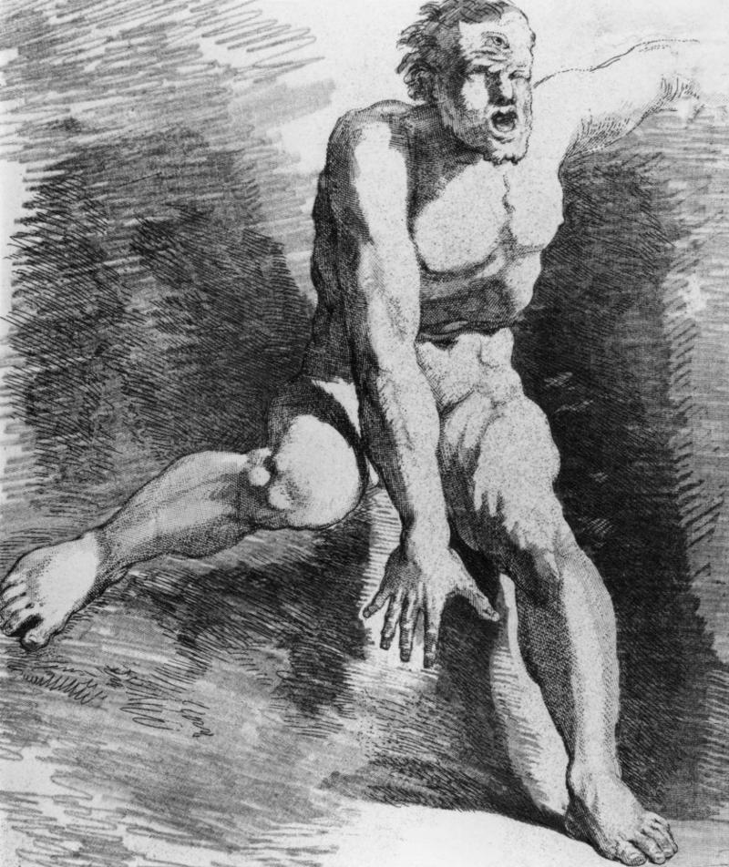 Cyclops Sea serpent, Yeti / Bigfoot, Chupacabra, Mermaids, The pouākai