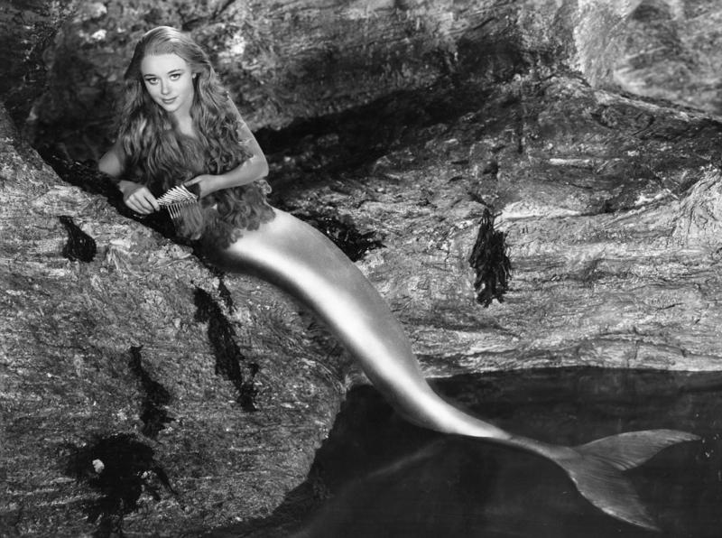 Mermaids Sea serpent, Yeti / Bigfoot, Chupacabra, Mermaids, The pouākai