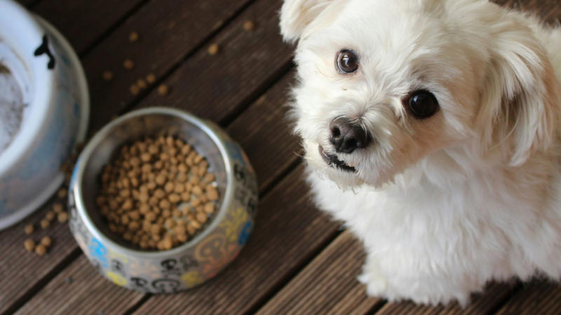 3. Pet Food 1. Cereal, 2. Spices, 3. Medications, 4. Salty Snacks, 5. Fresh Fruit, 6. Toilet Paper, 7. Sunscreen, 8. Canned Veggies, 9. Frozen Produce, 10. Liquid Cleaning Products, 1. Kirkland Plastic Cups, 2. Frozen Lasagna, 3. Pet Food, 4. Aluminum Foil, 5. Plants, 6. Diapers, 7. Laundry Supplies, 8. Batteries, 9. Socks, 10. Printer Ink