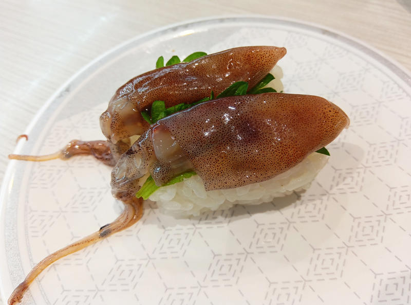 ・大とろ祭り開催できず, ・富山湾産 大振り生ほたるいか（税込209円）, ・山盛り炙りとろサーモンつつみ（税込209円）, ・山盛り赤えびつつみ（税込209円）, ・長崎県産剣先いか（税込209円）