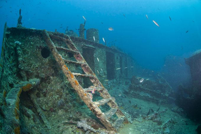 Great Barrier Reef, Museo Subacuático de Arte, Mandarinfish, Blue Corner, Faint-banded sea snake, Great Blue Hole, Queen Anne’s Revenge, Underwater Waterfall, Blue shark, Underwater Room, Why trust us, Sources: