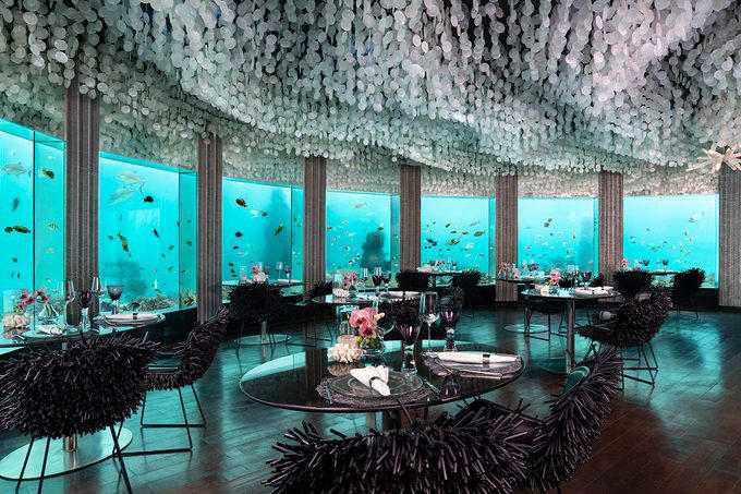 Great Barrier Reef, Museo Subacuático de Arte, Mandarinfish, Blue Corner, Faint-banded sea snake, Great Blue Hole, Queen Anne’s Revenge, Underwater Waterfall, Blue shark, Underwater Room, Why trust us, Sources:
