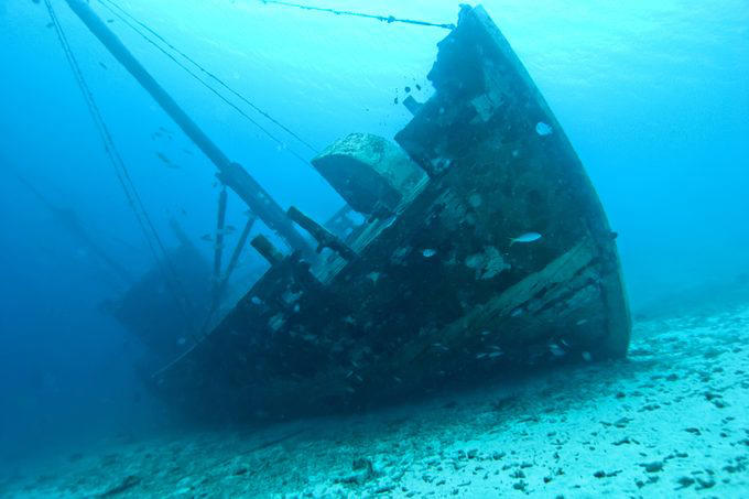 Great Barrier Reef, Museo Subacuático de Arte, Mandarinfish, Blue Corner, Faint-banded sea snake, Great Blue Hole, Queen Anne’s Revenge, Underwater Waterfall, Blue shark, Underwater Room, Why trust us, Sources: