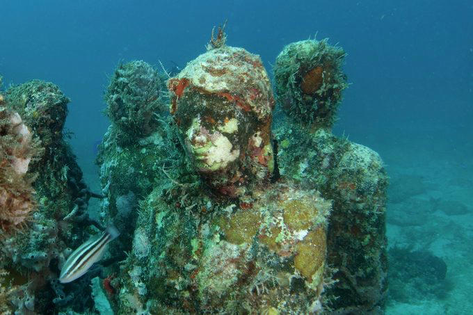 Great Barrier Reef, Museo Subacuático de Arte, Mandarinfish, Blue Corner, Faint-banded sea snake, Great Blue Hole, Queen Anne’s Revenge, Underwater Waterfall, Blue shark, Underwater Room, Why trust us, Sources: