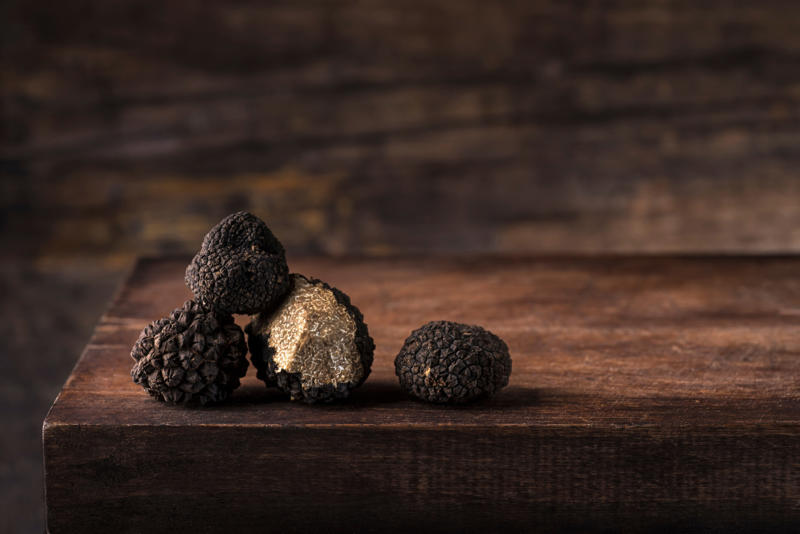 Nature's hidden gems, The coveted black Périgord truffle, A timeless culinary treasure, Greek mythology and the origins of truffles, Early theories on truffle origins, Truffles enter the world of marketing, The renaming of the Fair of Alba, Truffle cultivation, The challenges of truffle cultivation, The timeless practice of truffle hunting, The rise of truffle hounds, The art of harvesting truffles, Serving truffles, The irreplaceable taste of fresh truffles