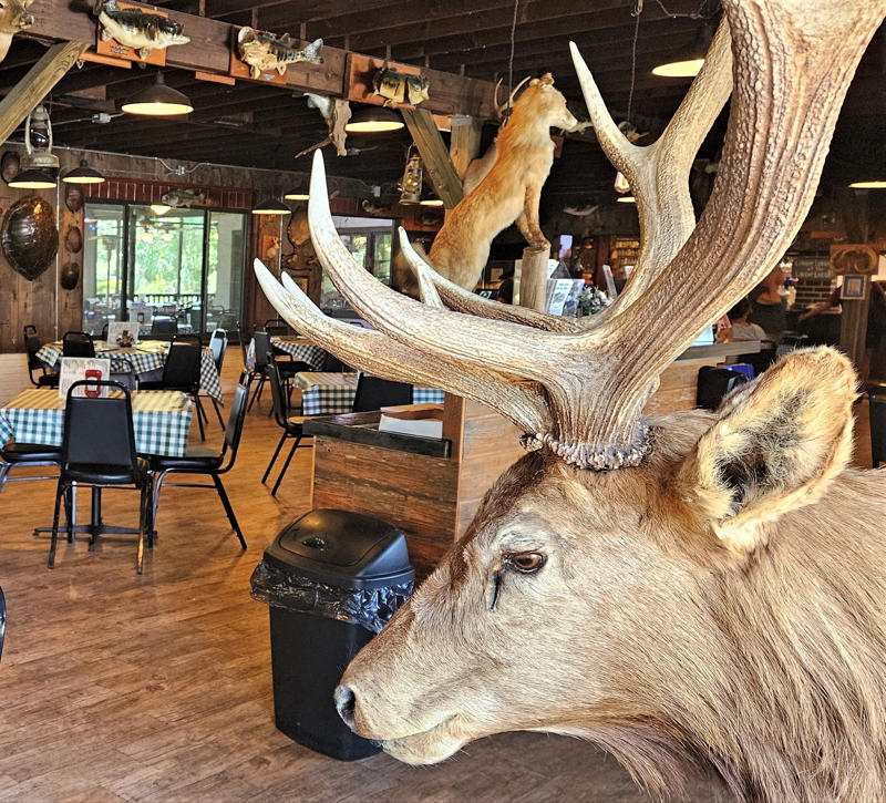 Duffy's Tavern | Anna Maria Island, J.R.’s Old Packinghouse Cafe | Sarasota, Linger Lodge | Bradenton, New Pass Grill & Bait Shop | Sarasota, Skinny's Place | Anna Maria Island