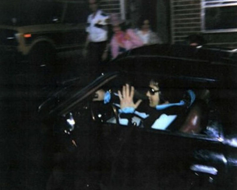 Elvis Presley Diana, Princess of Wales, Elvis Presley, John F. Kennedy, Martin Luther King Jr., Queen Victoria, Nikola Tesla, Mao Zedong, Ulysses S. Grant, Vladimir Lenin, Adolf Hitler, Christopher McCandless, Marilyn Monroe, Michael Jackson, Kurt Cobain, Mahatma Gandhi