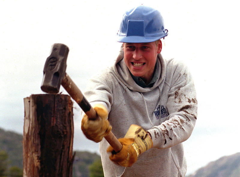Hammer time Early days, On the field, Hammer time, Team players, Grinning for the cameras, Wrapped up, Final days, Bon appetit, Happy as can be, Among the stars, A man in uniform, Slithering around, A day to remember, A new arrival, Father and son, All wrapped up!, Got their heads together, Welcoming Prince Louis, Brothers in arms, Big happy family
