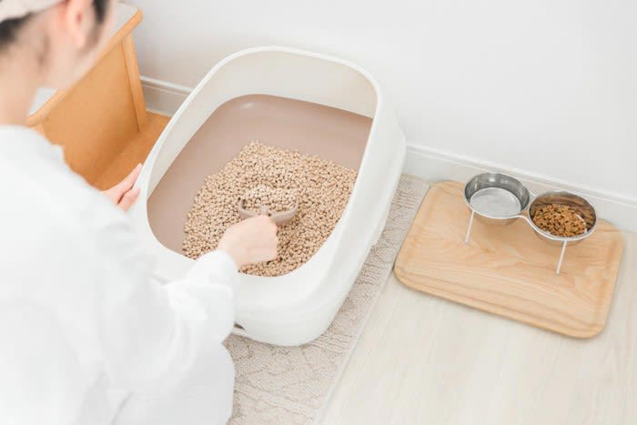 1.常に清潔である, 2.十分な広さがある, 3.静かな場所にある, 4.トイレの数が「猫の数＋1個」ある