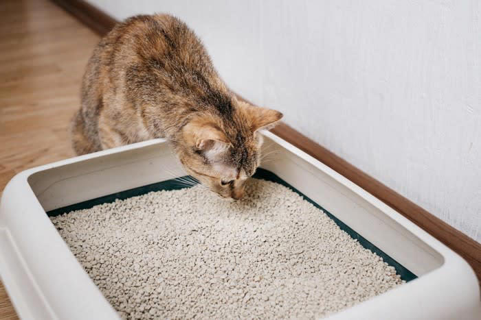1.常に清潔である, 2.十分な広さがある, 3.静かな場所にある, 4.トイレの数が「猫の数＋1個」ある
