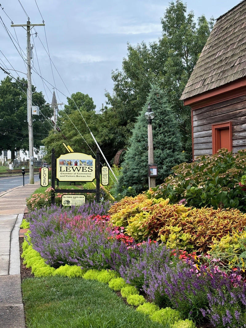 Why it matters , What to see today , Ask a local , Plan your visit