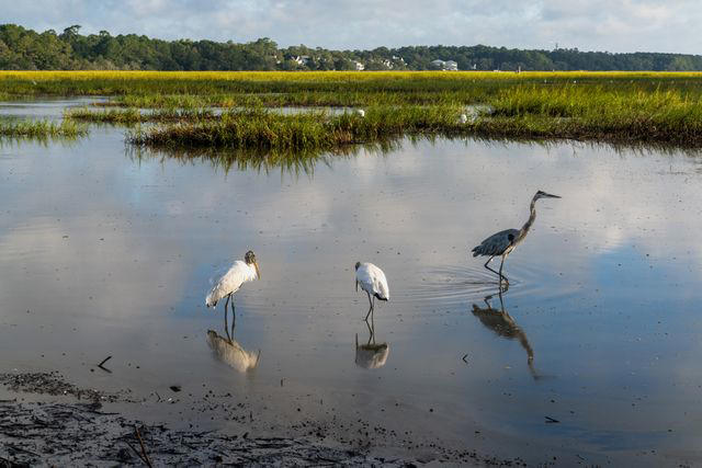 Best Hotels and Resorts, Towns to Visit, Things to Do, Best Shopping, Best Restaurants, Best Time to Visit, How to Get There, How to Get Around
