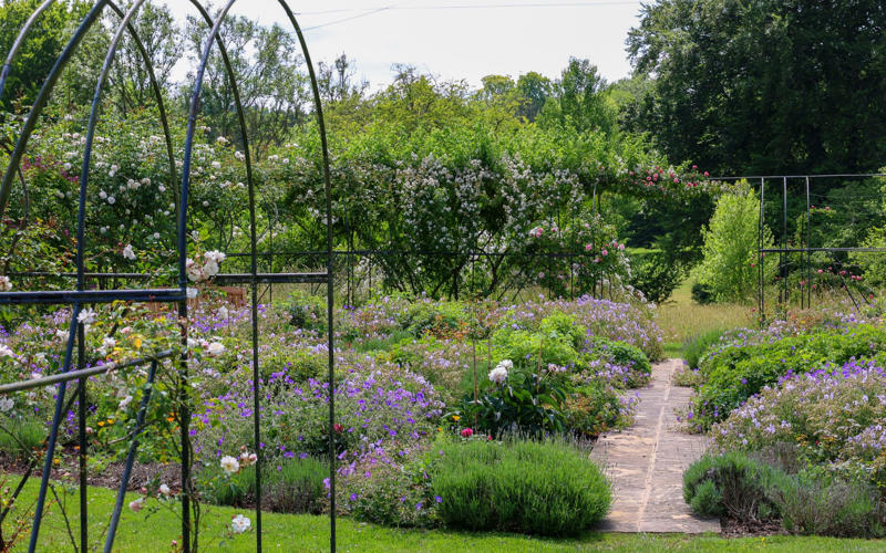 Where do you live?, What has been your approach at Highclere?, Which projects has your husband enjoyed the most?, What are the themes that have inspired some of your other gardens?, Did you have a garden as a child?, Did that outdoor experience stay with you as you got older?, Do you think gardening helps you on a deeper level?