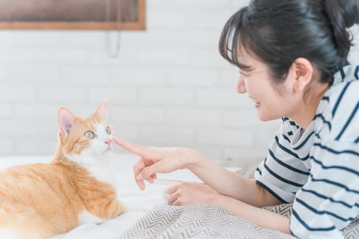 1.猫が覚えやすくする, 2.他の猫と響きが似ていない名前, 3.性別と合った名前, 4.成長した後のことも考える, 5.変わった名前に注意