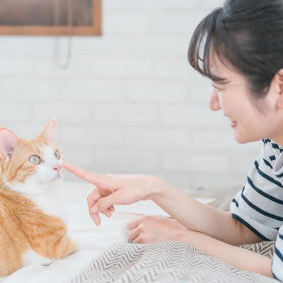 1.猫が覚えやすくする, 2.他の猫と響きが似ていない名前, 3.性別と合った名前, 4.成長した後のことも考える, 5.変わった名前に注意