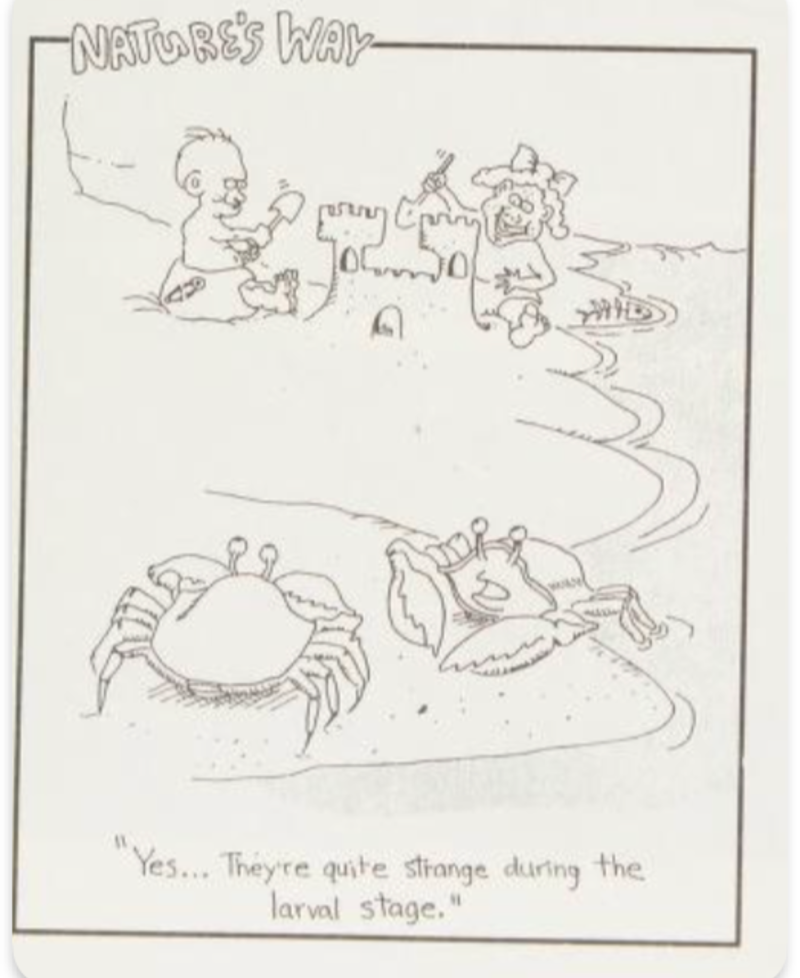             The First Step Into The Far Side        ,             Humans Are Strange        ,             Stone Age Graffiti        ,             Snails Reflect The Issues Of Married Life        ,             Everyone Has Their Superstitions        ,             The Far Side of OZ        ,             Monsters Are Hiding Everywhere        ,             Dragons Grab A Quick Snack        ,             Human Beings Are Not Special        ,             Gary Larson Brings Readers to The Far Side        