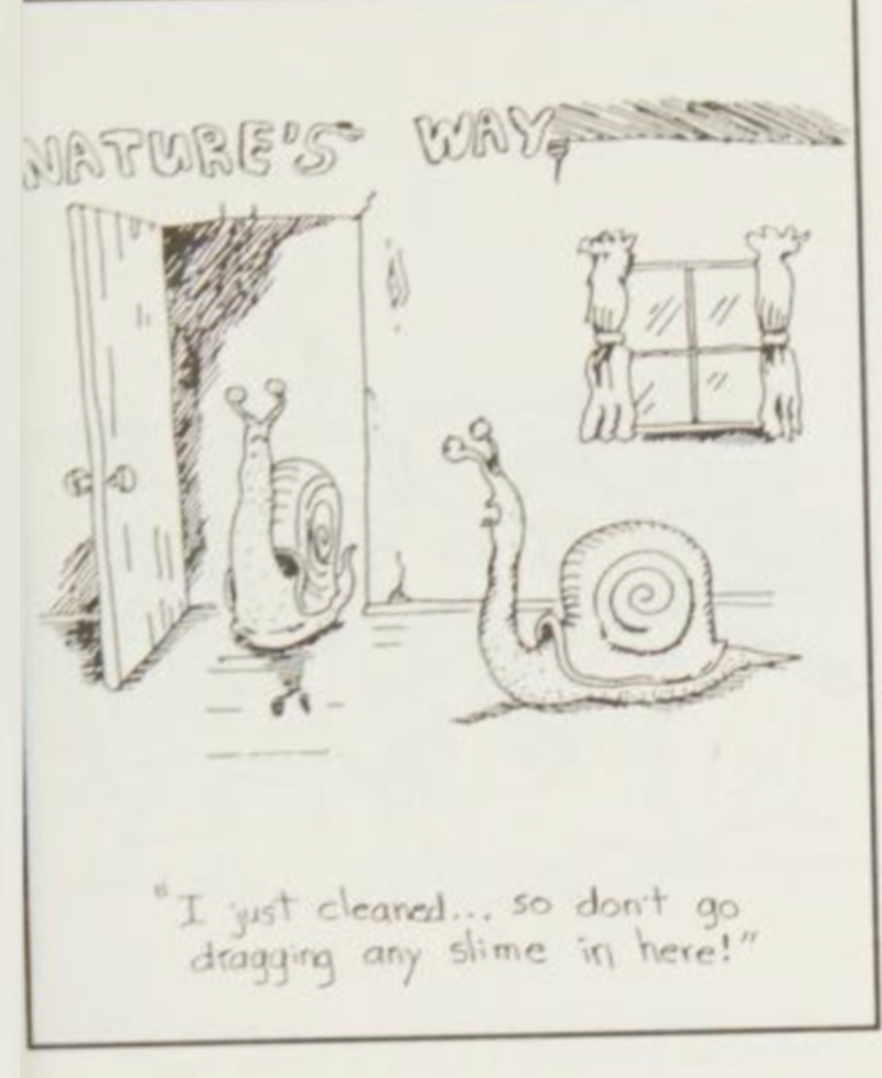             The First Step Into The Far Side        ,             Humans Are Strange        ,             Stone Age Graffiti        ,             Snails Reflect The Issues Of Married Life        ,             Everyone Has Their Superstitions        ,             The Far Side of OZ        ,             Monsters Are Hiding Everywhere        ,             Dragons Grab A Quick Snack        ,             Human Beings Are Not Special        ,             Gary Larson Brings Readers to The Far Side        
