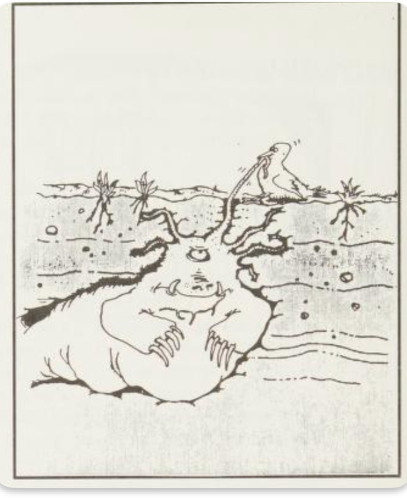             The First Step Into The Far Side        ,             Humans Are Strange        ,             Stone Age Graffiti        ,             Snails Reflect The Issues Of Married Life        ,             Everyone Has Their Superstitions        ,             The Far Side of OZ        ,             Monsters Are Hiding Everywhere        ,             Dragons Grab A Quick Snack        ,             Human Beings Are Not Special        ,             Gary Larson Brings Readers to The Far Side        