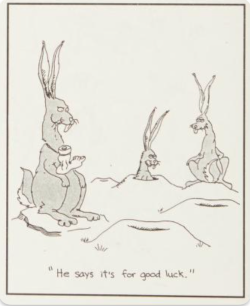             The First Step Into The Far Side        ,             Humans Are Strange        ,             Stone Age Graffiti        ,             Snails Reflect The Issues Of Married Life        ,             Everyone Has Their Superstitions        ,             The Far Side of OZ        ,             Monsters Are Hiding Everywhere        ,             Dragons Grab A Quick Snack        ,             Human Beings Are Not Special        ,             Gary Larson Brings Readers to The Far Side        