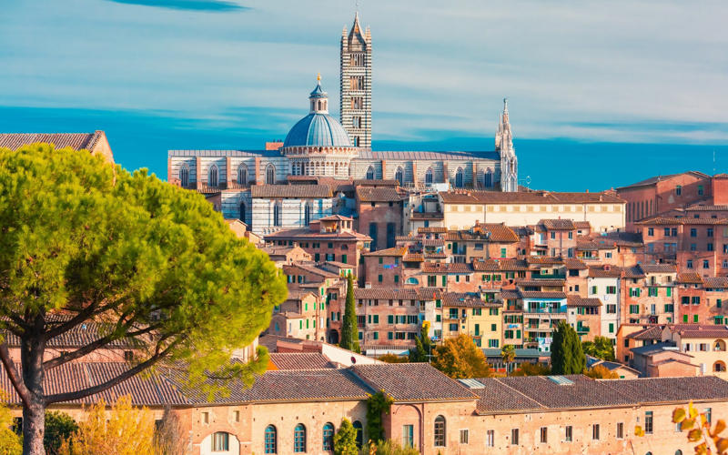 20. Padua, Where to stay, How to get there, 19. Genoa, Where to stay, How to get there, 18. Lecce, Where to stay, How to get there, 17. Pisa, Where to stay, How to get there, 16. Trieste, Where to stay, How to get there, 15. Modena, Where to stay, How to get there, 14. Perugia, Where to stay, How to get there, 13. Milan, Where to stay, How to get there, 12. Turin, Where to stay, How to get there, 11. Bologna, Where to stay, How to get there, 10. Palermo, Where to stay, How to get there, 9. Parma, Where to stay, How to get there, 8. Naples, Where to stay, How to get there, 7. Vicenza, Where to stay, How to get there, 6. Florence, Where to stay, How to get there, 5. Verona, Where to stay, How to get there, 4. Mantua, Where to stay, How to get there, Where to stay, How to get there, 2. Venice, Where to stay, How to get there, 1. Siena, Where to stay, How to get there