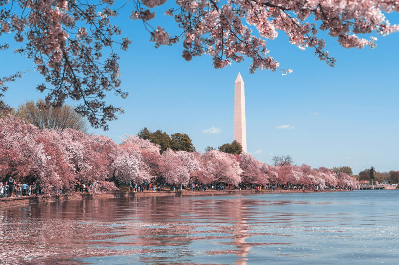 3. Washington, D.C. 1. Alaska, 2. Oregon, 3. Washington, D.C., 4. Alameda, California, 5. Berkeley, California, 6. Emeryville, California, 7. Fremont, California, 8. Los Angeles, California, 9. Los Angeles County, California, 10. Milpitas, California, 11. Pasadena, California, 12. San Francisco, California, 13. Santa Monica, California, 14. Chicago, Illinois, 15. Montgomery County, Maryland