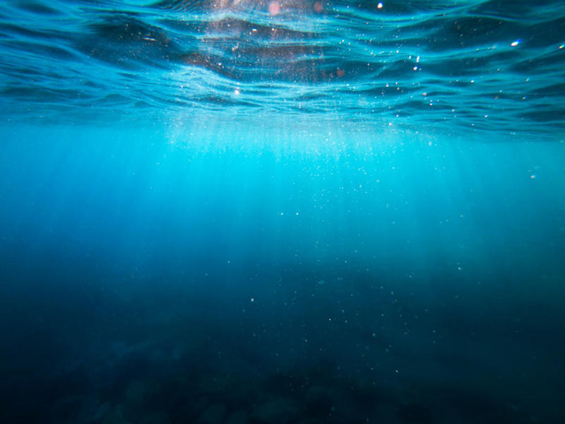 How Much Water Is 6 to 9 Meters of Sea Level Rise? The Eemian Interglacial: A Time of Warmth and High Seas, How Much Water Is 6 to 9 Meters of Sea Level Rise?, Why Did the Eemian Seas Rise So High?, Modern Sea Level Rise: How Fast Are We Catching Up?, The Fate of Coastal Cities, Disappearing Islands and Sinking Nations, Flooded River Deltas and Agricultural Heartlands, Redrawing the World Map: New Coastlines, Impact on Freshwater Resources, Wildlife on the Move: Ecosystem Upheaval, Economic Catastrophe: The Price of Inaction, Mass Migration and the Human Toll, Losing Cultural Heritage and History, Storm Surges: Higher Seas, Deadlier Storms, Changing Ocean Currents and Weather Patterns, Loss of Biodiversity in Coastal Zones, Health Risks from Waterborne Diseases, Adapting Infrastructure: Can We Build Our Way Out?, The Psychological Impact: Anxiety, Loss, and Resilience, Learning from the Past: The Eemian’s Cautionary Tale, The Race Against Time: Will We Act?