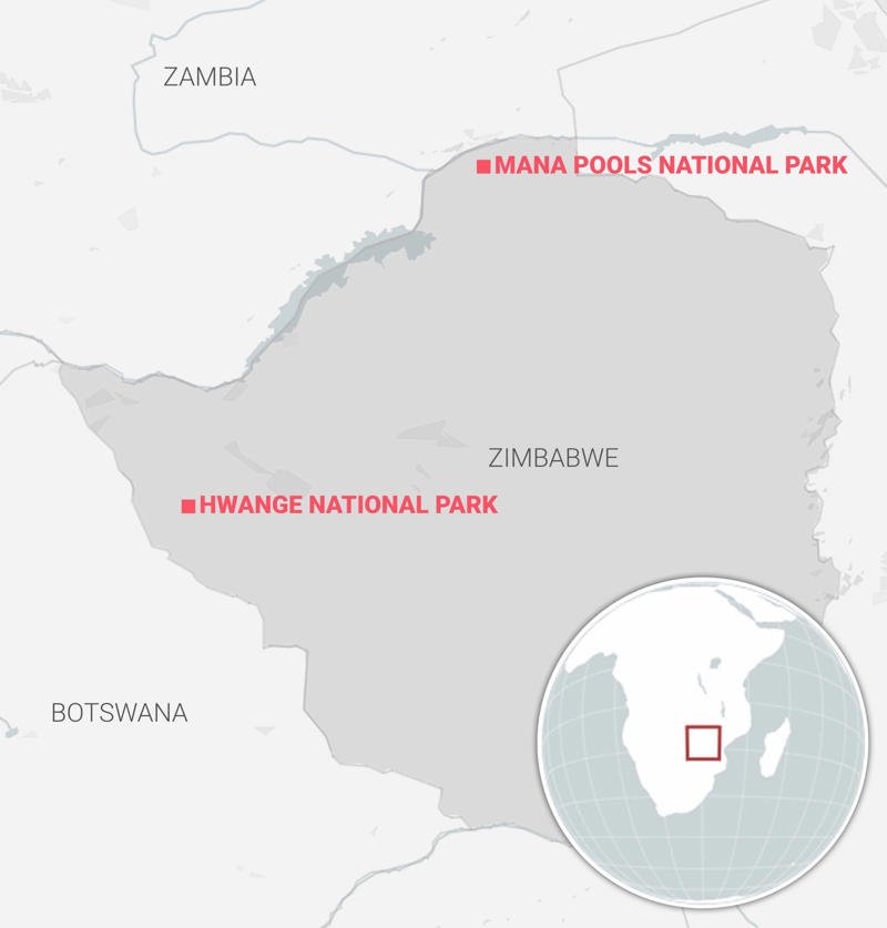 Sign up to The Getaway newsletter , ‘Watch out for the baboons’, Alternative safaris to explore in Africa (and the UK) , Bucket list experiences, The finer details: When to visit Zimbabwe