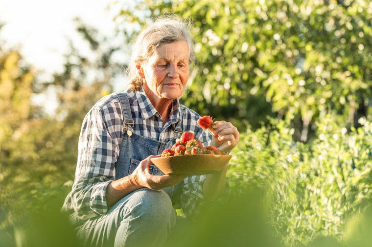 Nine foods the over-60s should eat every week Tinned sardines to boost brain and bones, Chickpeas to promote good gut health, Leafy greens to help protect your eyes, Berries to stave off cognitive decline, Walnuts to benefit your brain and heart, Extra-virgin olive oil to help heart health, Greek yogurt to increase bone density, Wholegrain bread to aid digestion, Kimchi to balance your microbiome