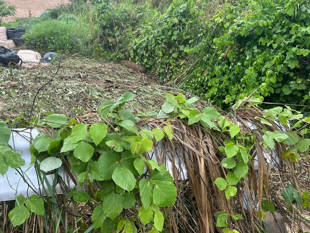 造成地からの土砂流出の原因は、盛土の崩落だった, 建設現場は大阪のベッドタウン・平群町が誇る「平群の山」, 住民らは奈良県に盛土規制法に基づく調査や改善命令を求めた, 住民が林地開発許可の取り消し求めた裁判を起こした訳, 住民側が抱いた不信感, 林地開発許可制度をめぐる問題