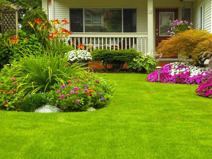 You Need to Water Every Day, Cutting Grass Shorter Means Less Mowing, Grass Clippings Lead to That Buildup, You Should Fertilize in the Spring, Watering in the Evening is Best, Leaves Smother Lawns, Tonics Will Help My Lawn to Grow, Wear Aerator Shoes While Mowing, A Garden Hose is More Cost Effective Than a Sprinkler System, Chewing Gum Solves a Mole Problem